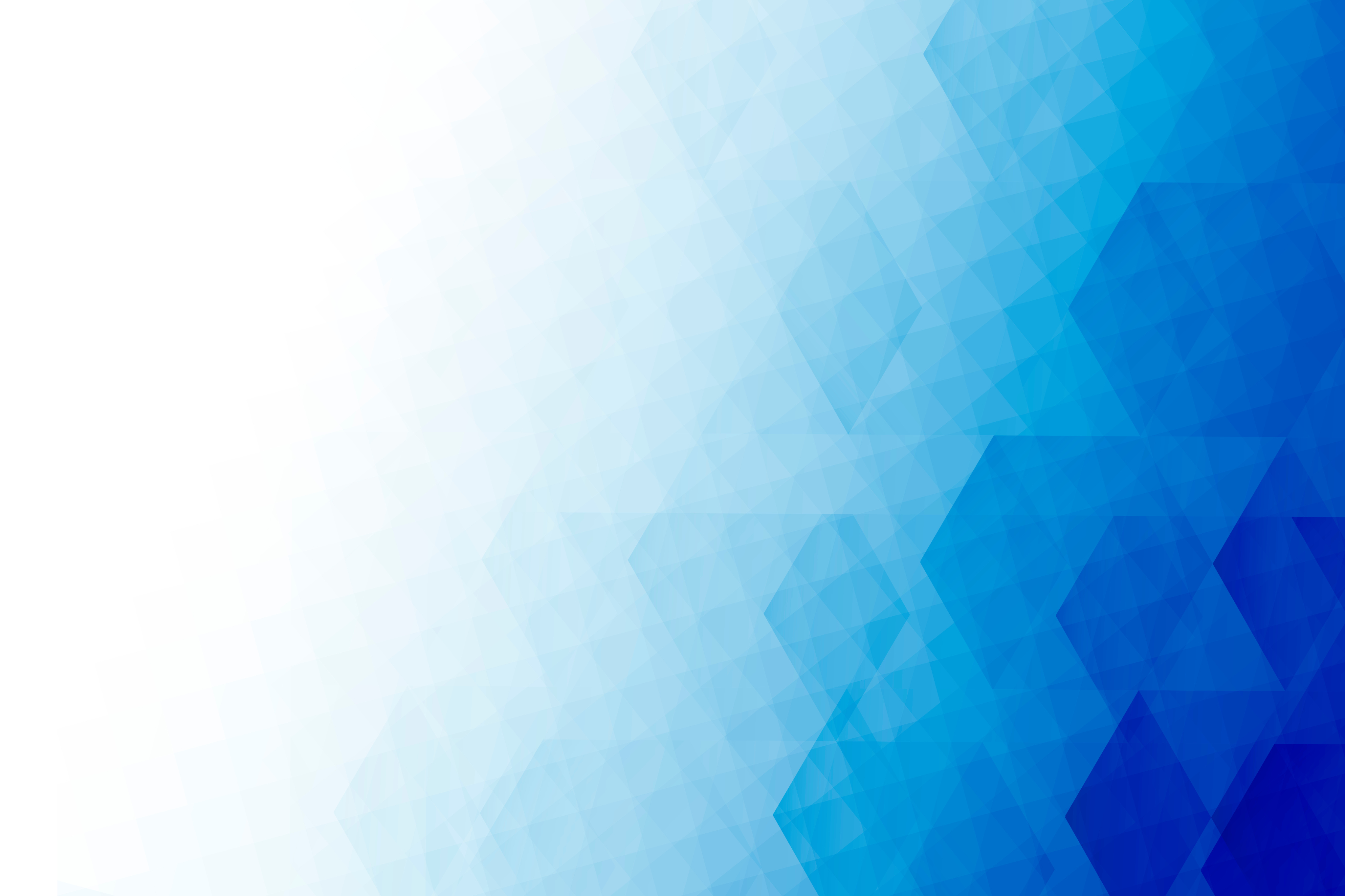 banner Business Portal Design & Optimization